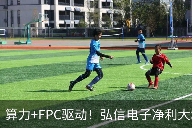 算力+FPC驱动！弘信电子净利大增139%，股价较年内高点回撤超40%