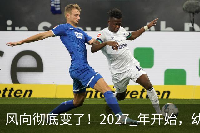 风向彻底变了！2027 年开始，幼儿园、养老院、月嫂行业或迎大变局